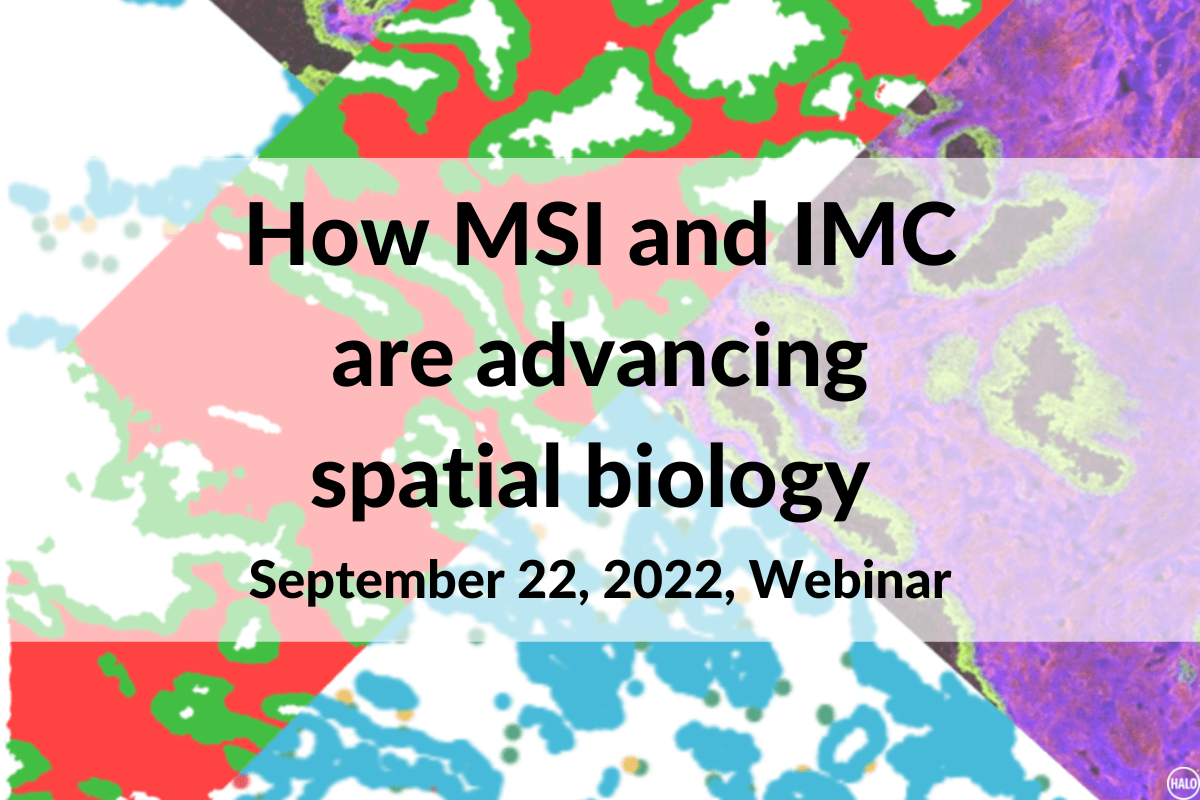 Spatial Biology & Image Analysis in Tumor Microenvironment