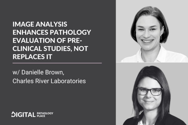 Image Analysis Enhances Pathology Evaluation of Preclinical Studies, not Replaces it