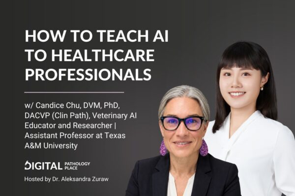 How to Teach AI to Healthcare Professionals